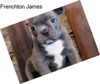 Frenchton James