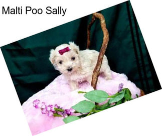 Malti Poo Sally