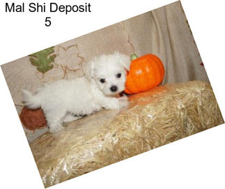 Mal Shi Deposit 5