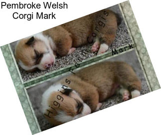 Pembroke Welsh Corgi Mark