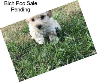 Bich Poo Sale Pending