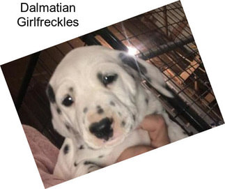 Dalmatian Girlfreckles