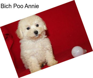 Bich Poo Annie