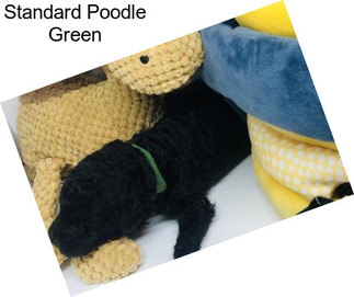 Standard Poodle Green