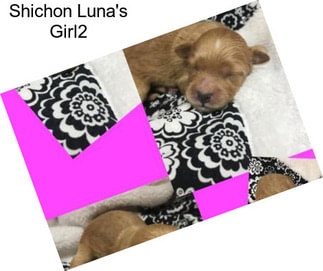 Shichon Luna\'s Girl2