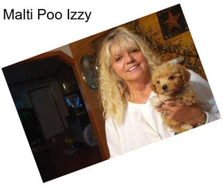 Malti Poo Izzy