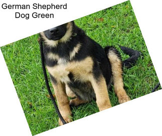 German Shepherd Dog Green