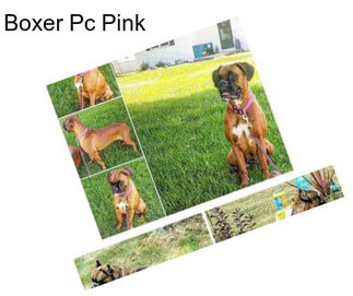 Boxer Pc Pink