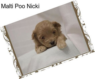 Malti Poo Nicki