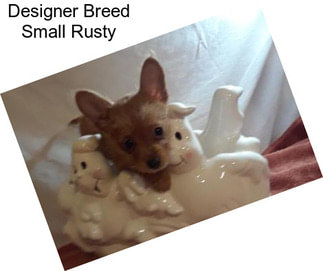 Designer Breed Small Rusty