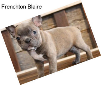 Frenchton Blaire