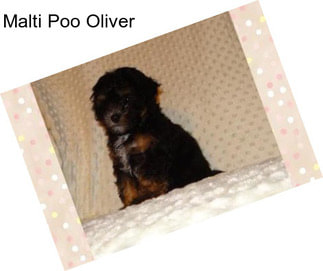 Malti Poo Oliver