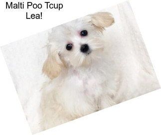 Malti Poo Tcup Lea!