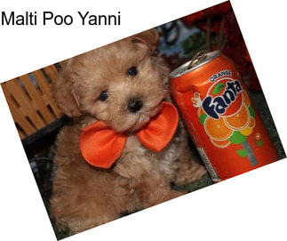 Malti Poo Yanni