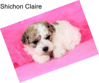 Shichon Claire