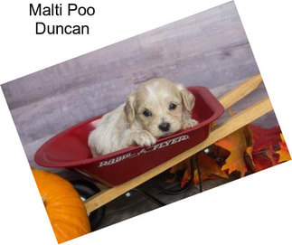 Malti Poo Duncan