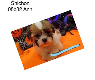 Shichon 08b32 Ann