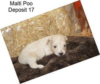 Malti Poo Deposit 17