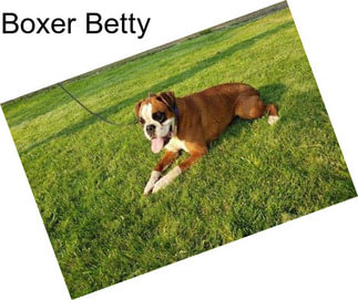 Boxer Betty