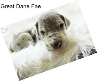 Great Dane Fae