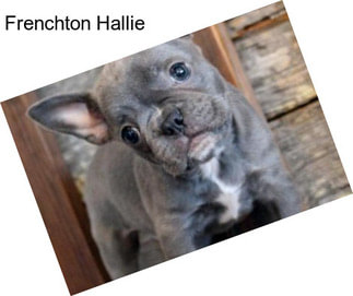 Frenchton Hallie