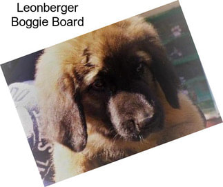 Leonberger Boggie Board