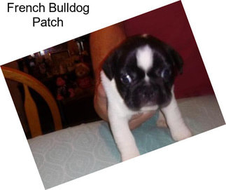 French Bulldog Patch