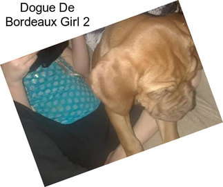 Dogue De Bordeaux Girl 2