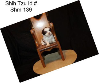 Shih Tzu Id # Shm 139