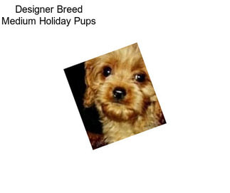 Designer Breed Medium Holiday Pups