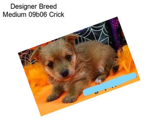 Designer Breed Medium 09b06 Crick