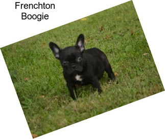 Frenchton Boogie