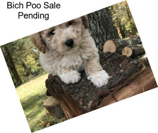 Bich Poo Sale Pending