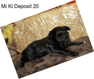Mi Ki Deposit 20