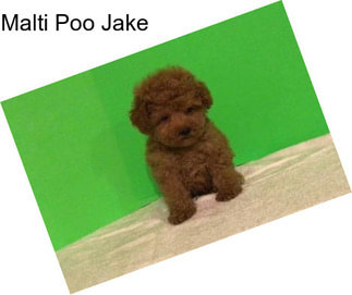 Malti Poo Jake