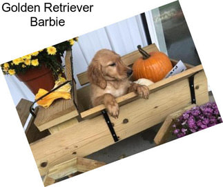 Golden Retriever Barbie