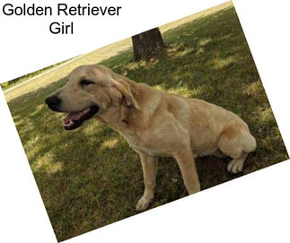 Golden Retriever Girl