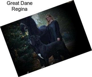Great Dane Regina