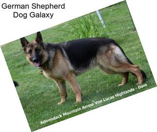 German Shepherd Dog Galaxy