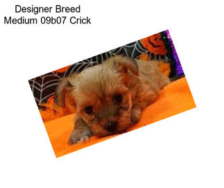 Designer Breed Medium 09b07 Crick