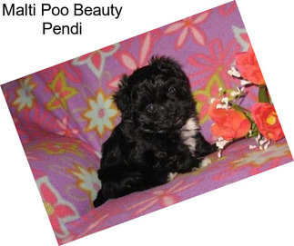 Malti Poo Beauty Pendi