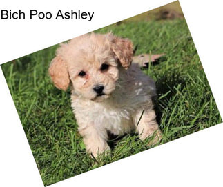 Bich Poo Ashley