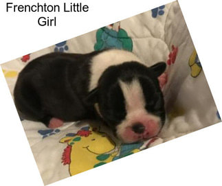 Frenchton Little Girl