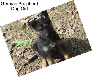 German Shepherd Dog Girl