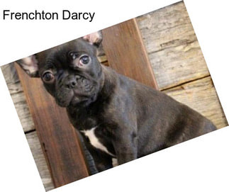 Frenchton Darcy