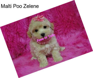 Malti Poo Zelene