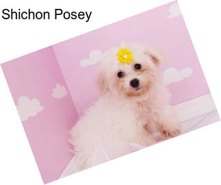 Shichon Posey