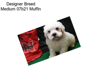 Designer Breed Medium 07b21 Muffin