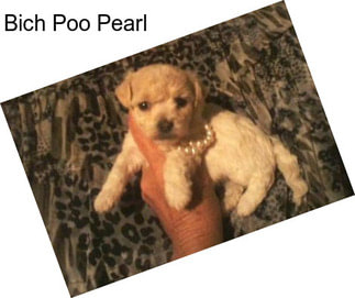 Bich Poo Pearl