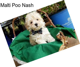 Malti Poo Nash